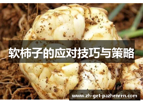 软柿子的应对技巧与策略 软柿子的应对技巧与策略