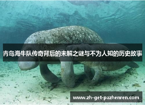 青岛海牛队传奇背后的未解之谜与不为人知的历史故事 青岛海牛队传奇背后的未解之谜与不为人知的历史故事