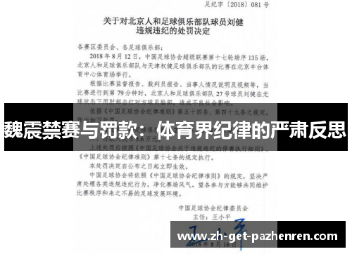 魏震禁赛与罚款：体育界纪律的严肃反思
