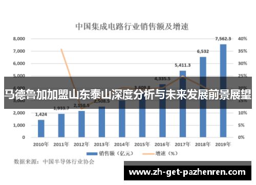 马德鲁加加盟山东泰山深度分析与未来发展前景展望
